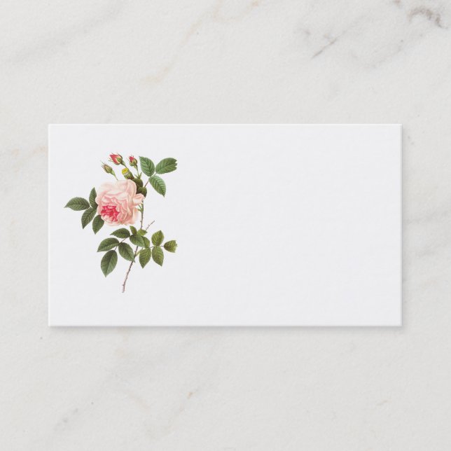 Redoute Pink Rose Business Card (Front)