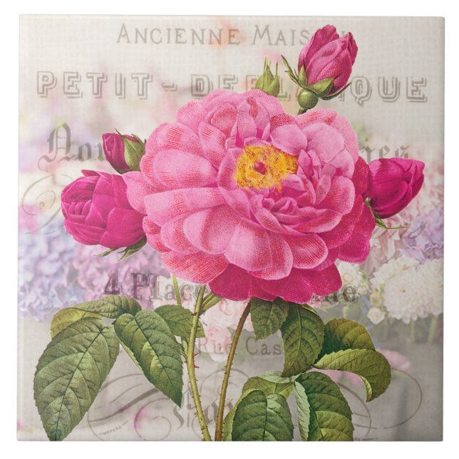 Redoute Pink Rose Ceramic Tile (Front)