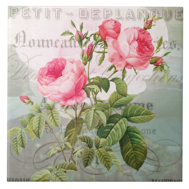 Redoute Pink Roses Ceramic Tile (Front)