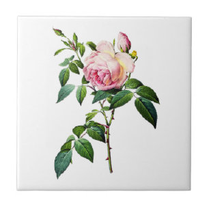 Redoute Pink Roses Tile