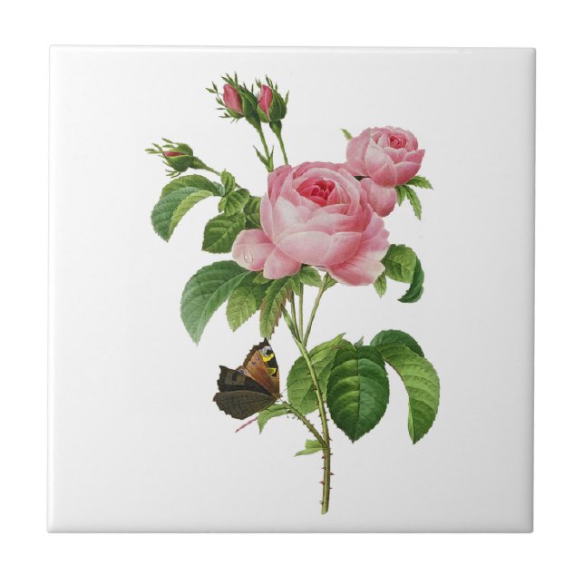 Redoute Pink Roses Tile (Front)