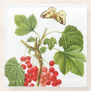 Redoute Plant Glass Coaster