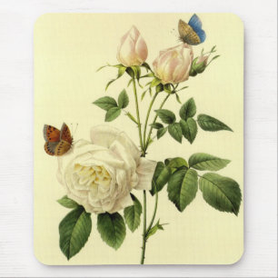 Redoute Print: 'Bengal Rose Hymanee' Mouse Mat