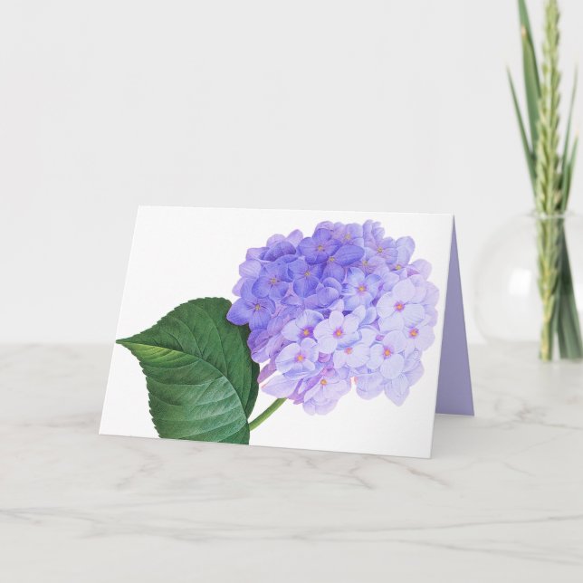 Redoute Purple Hydrangea Greeting Card (Front)