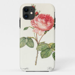 Redoute Rosa Centifolia (bright) iPhone 11 Case