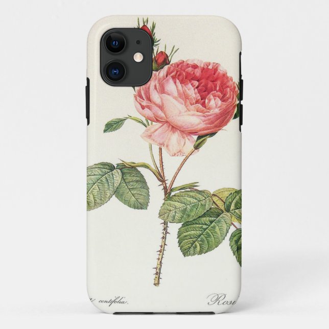 Redoute Rosa Centifolia (bright) Case-Mate iPhone Case (Back)