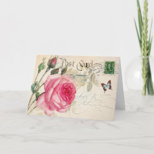 Redoute Rose Greeting Card