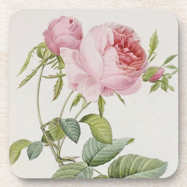 Redoute Vintage Rose French Accent Coasters (Front)