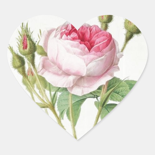 Redoute Vintage Rose Heart Shape Stickers (Front)