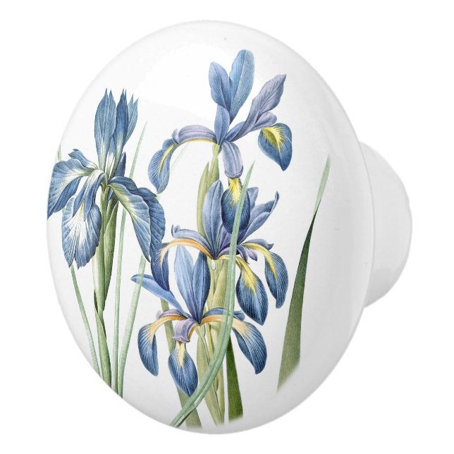 Redoutes Iris Flowers Floral Botanical Ceramic Knob (Right)