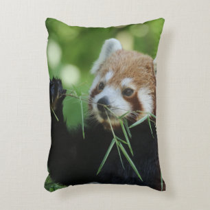 RedPanda 002 Decorative Cushion
