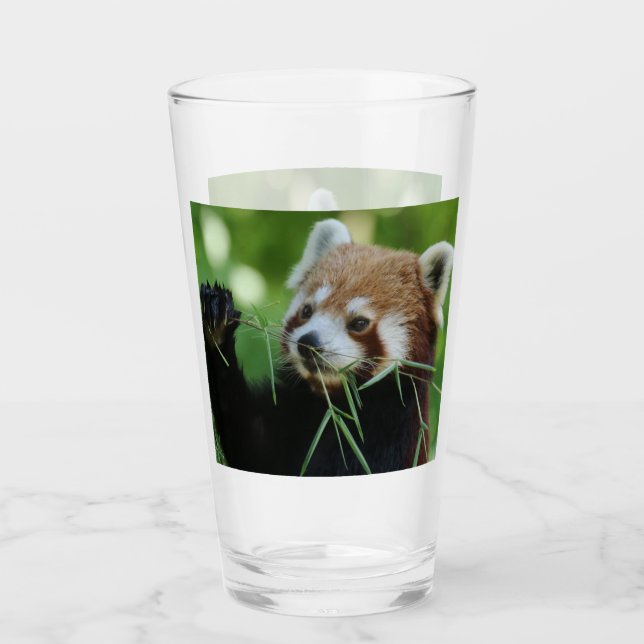 RedPanda 002 Glass (Front)