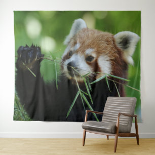 RedPanda 002 Tapestry