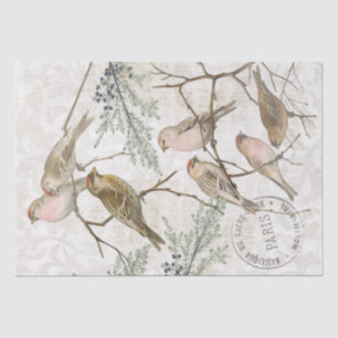 Redpoll Bird Branch Nature Decoupage Paris Vintage Tissue Paper