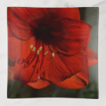 Reds Mouse Trinket Trays<br><div class="desc">Reds flowers</div>