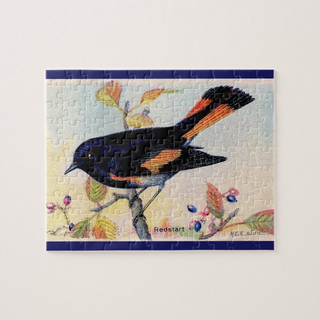 Redstart Bird Puzzle (Horizontal)