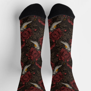 Redstarts in the chrysanthemums in brown and red socks