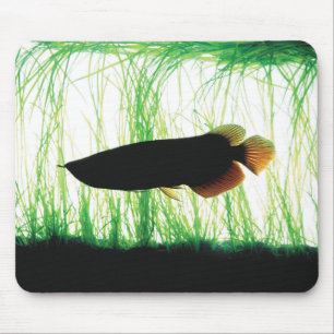 Redtail Golden Arowana Mouse Mat