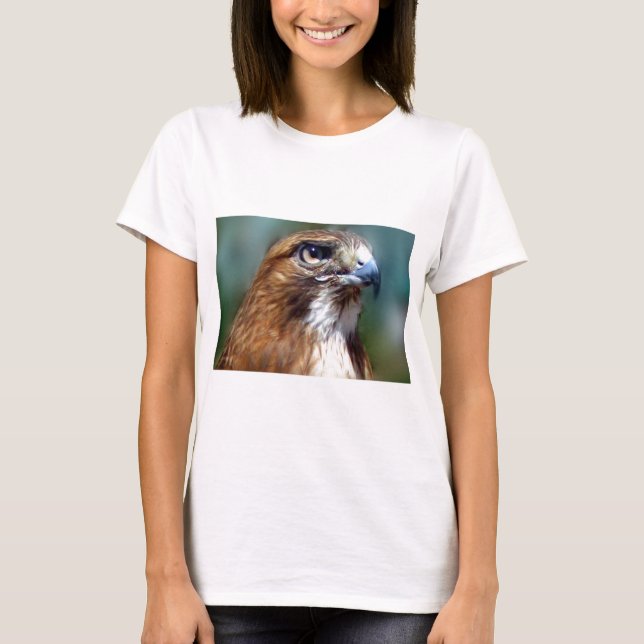 Redtail Hawk T-Shirt (Front)