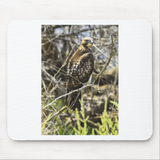 Redtailed Hawk Mouse Mat