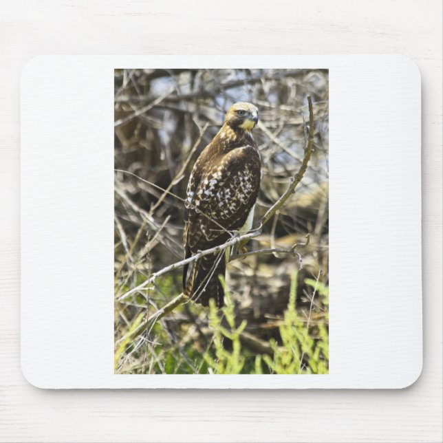 Redtailed Hawk Mouse Mat (Front)