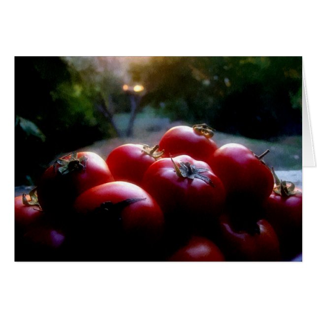 redtomatoes (Front Horizontal)