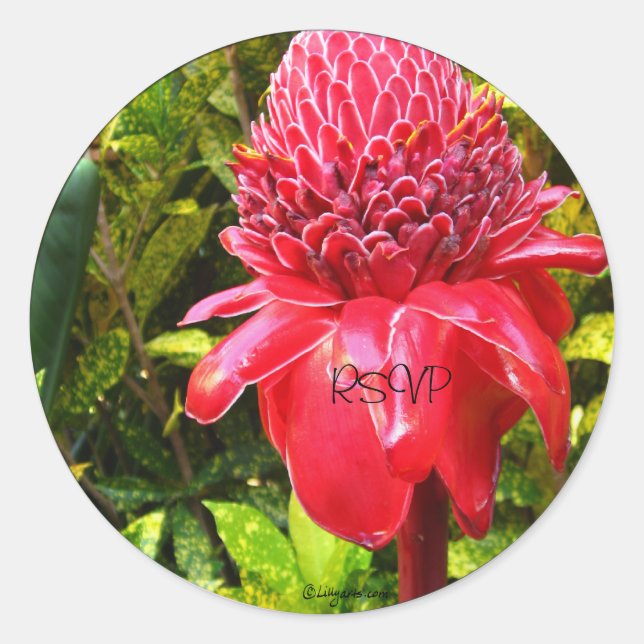 RedTorch Ginger Wedding Envelope Seals/ Stickers (Front)