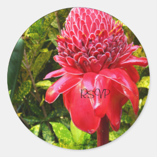 RedTorch Ginger Wedding Envelope Seals/ Stickers