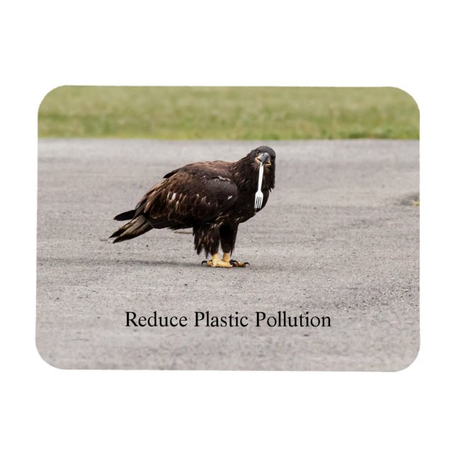 Reduce Plastic Pollution Magnet (Horizontal)