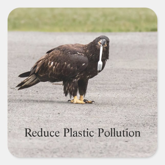 Reduce Plastic Pollution Square Sticker (Front)