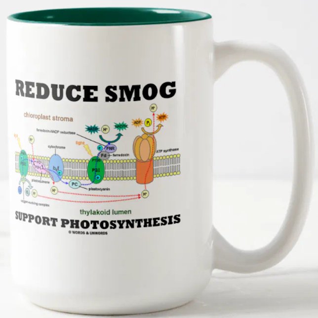 Reduce Smog Support Photosynthesis Two-Tone Coffee Mug (Environmentalists & biologists will enjoy this "Reduce Smog Support Photosynthesis" advice mug)