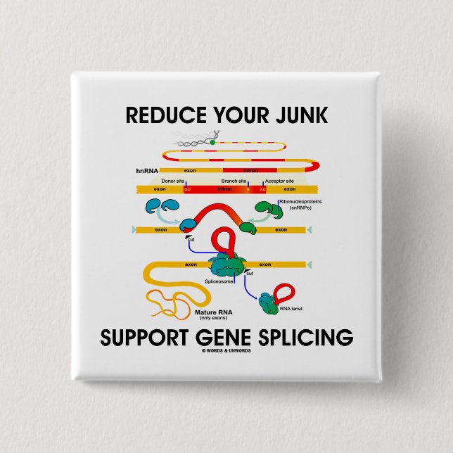 Reduce Your Junk Support Gene Splicing (RNA 15 Cm Square Badge (Front)