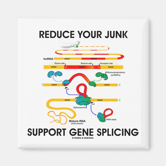 Reduce Your Junk Support Gene Splicing (RNA Humour Magnet (Front)