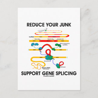 Reduce Your Junk Support Gene Splicing (RNA Humour Postcard