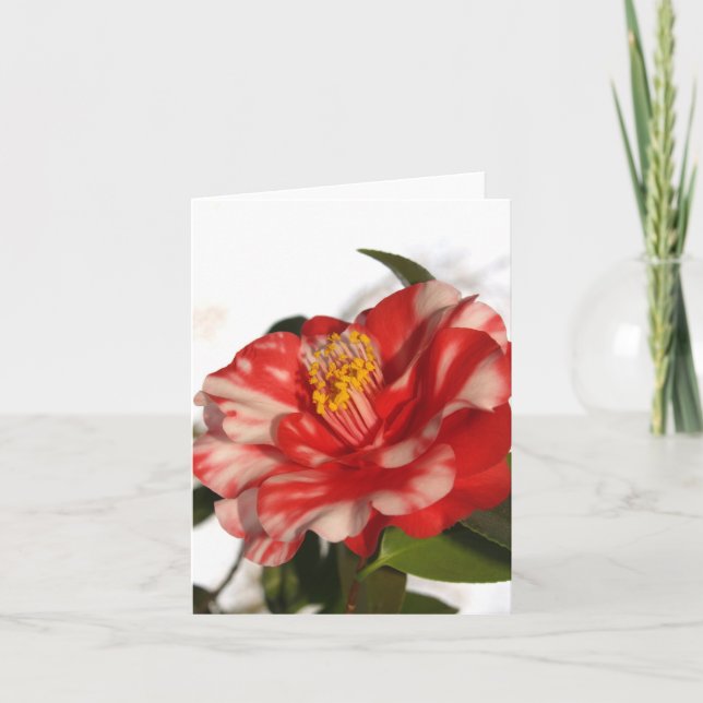 redwhitecam card (Front)