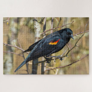 Redwing Blackbird Jigsaw Puzzle