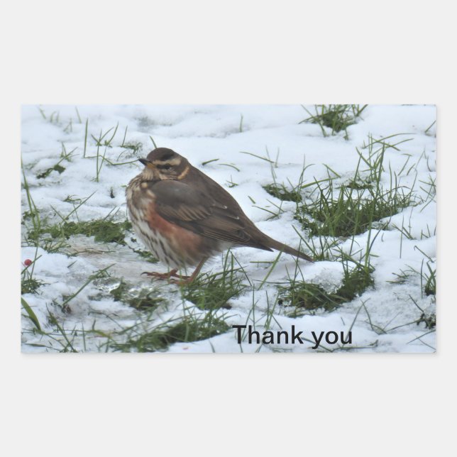 Redwing Rectangular Sticker (Front)