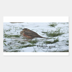 Redwing Rectangular Sticker