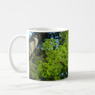 Redwood Boughs at Redwood National Park Coffee Mug