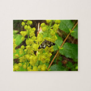 Redwood Butterfly and Oregon Grape Wildflowers Jigsaw Puzzle