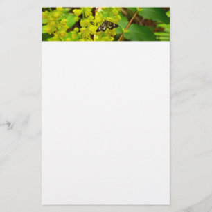 Redwood Butterfly and Oregon Grape Wildflowers Stationery
