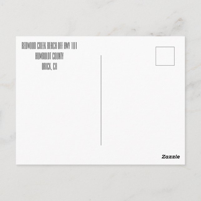 Redwood Creek Beach Highway 101 California  Postcard (Back)