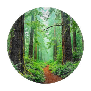 Redwood Forest Misty Tranquillity Design Cutting Board