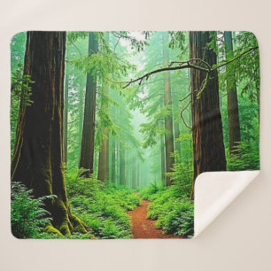 Redwood Forest Misty Tranquillity Design Sherpa Blanket