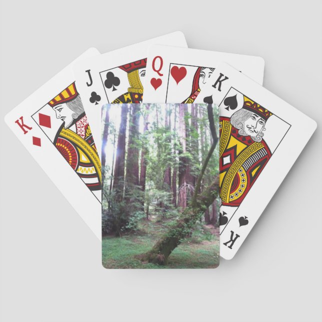 Redwood Forest Playing Cards (Back)