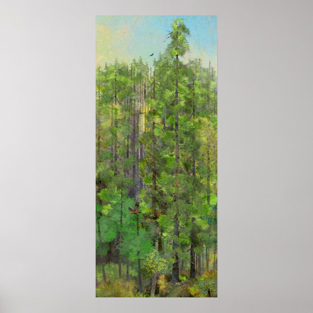 Redwood Forest Poster (Front)