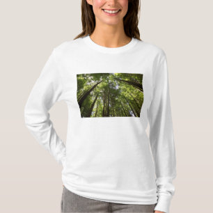 Redwood Forest, Rotorua, New Zealand 2 T-Shirt