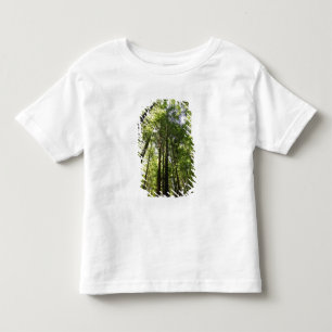 Redwood Forest, Rotorua, New Zealand Toddler T-Shirt