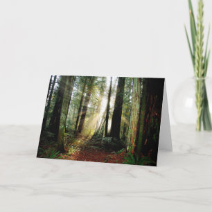 Redwood Morning Card