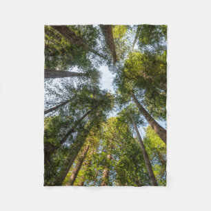 Redwood National and State Parks, California Fleece Blanket